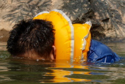 life&nbsp;jacket